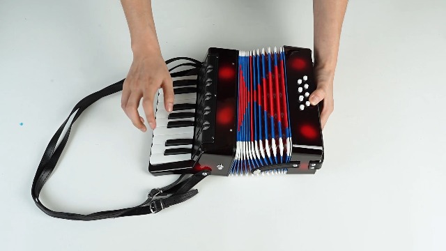 Watch Accordion 17 Key Piano Accordion 8 Bass with Straps on